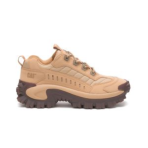 Tenis Caterpillar Intruder Feminino Marrom | PT-495317CGU