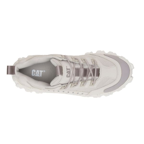 Soft Toe Shoes Caterpillar Intruder Feminino Cinzentas Bege | PT-716340XPA